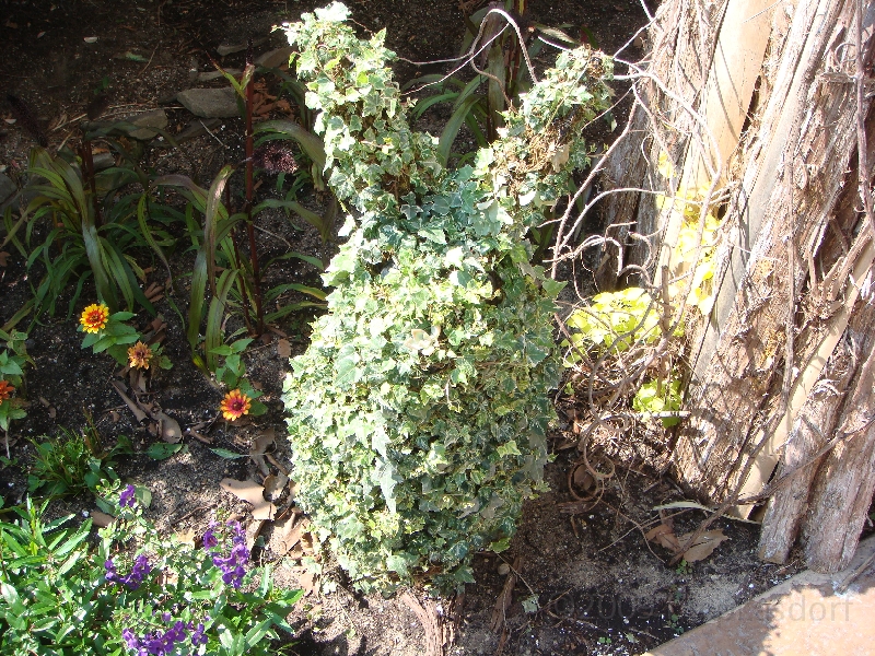 Western Michigan [2009] 421.JPG - Scenes from Frederik Meijer Gardens & Sculpture Park.